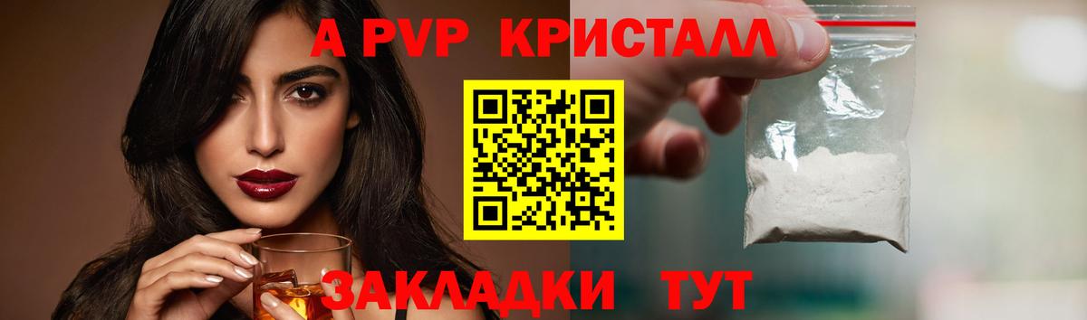 Alfa_PVP СК КРИС Майкоп