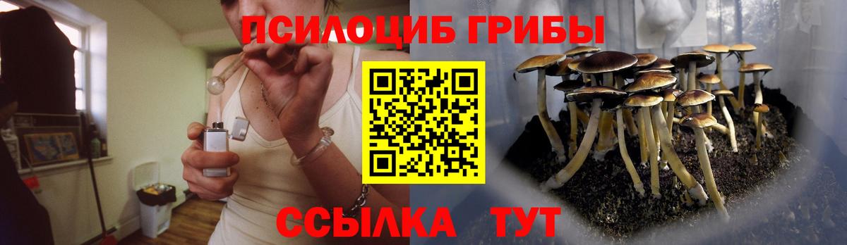 Псилоцибиновые грибы Magic Shrooms  Галлюциногенные грибы прущие грибы  Майкоп  Вход с VPN 